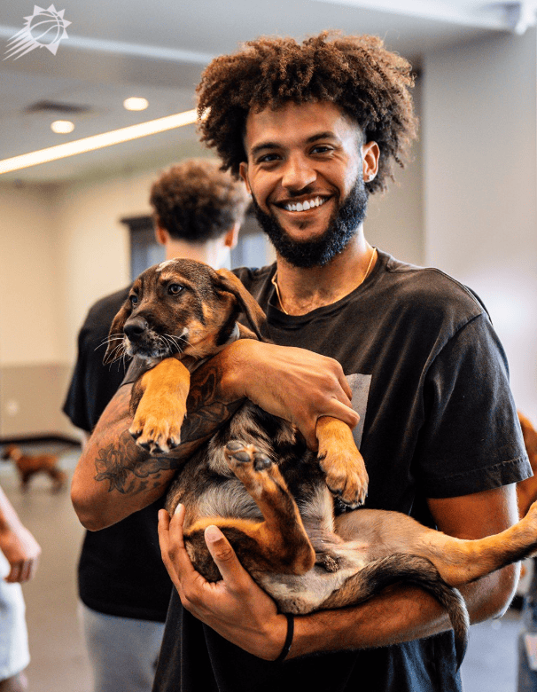 div, 只小狗, entit