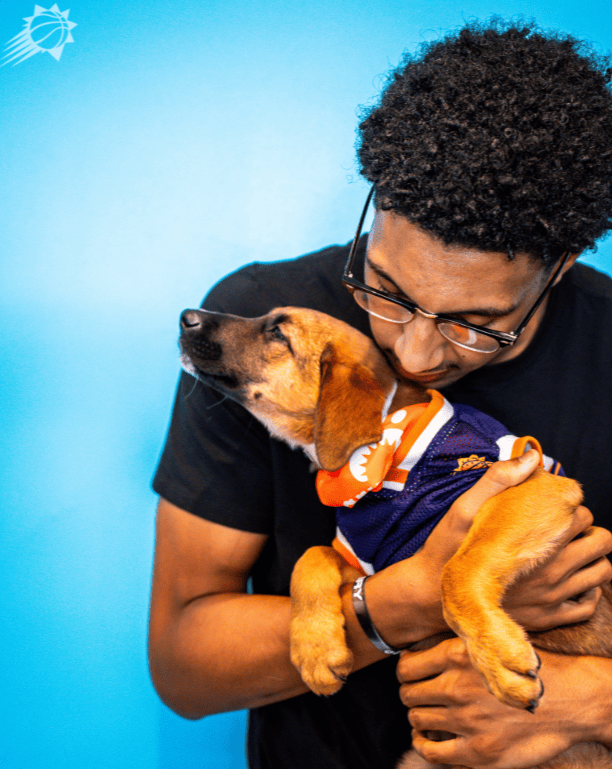 amp, https, 支球队